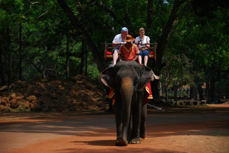 Praktik Gajah Tunggang: Instruktur gajah dan sepasang wisatawan menikmati pemandangan dengan menunggang gajah.