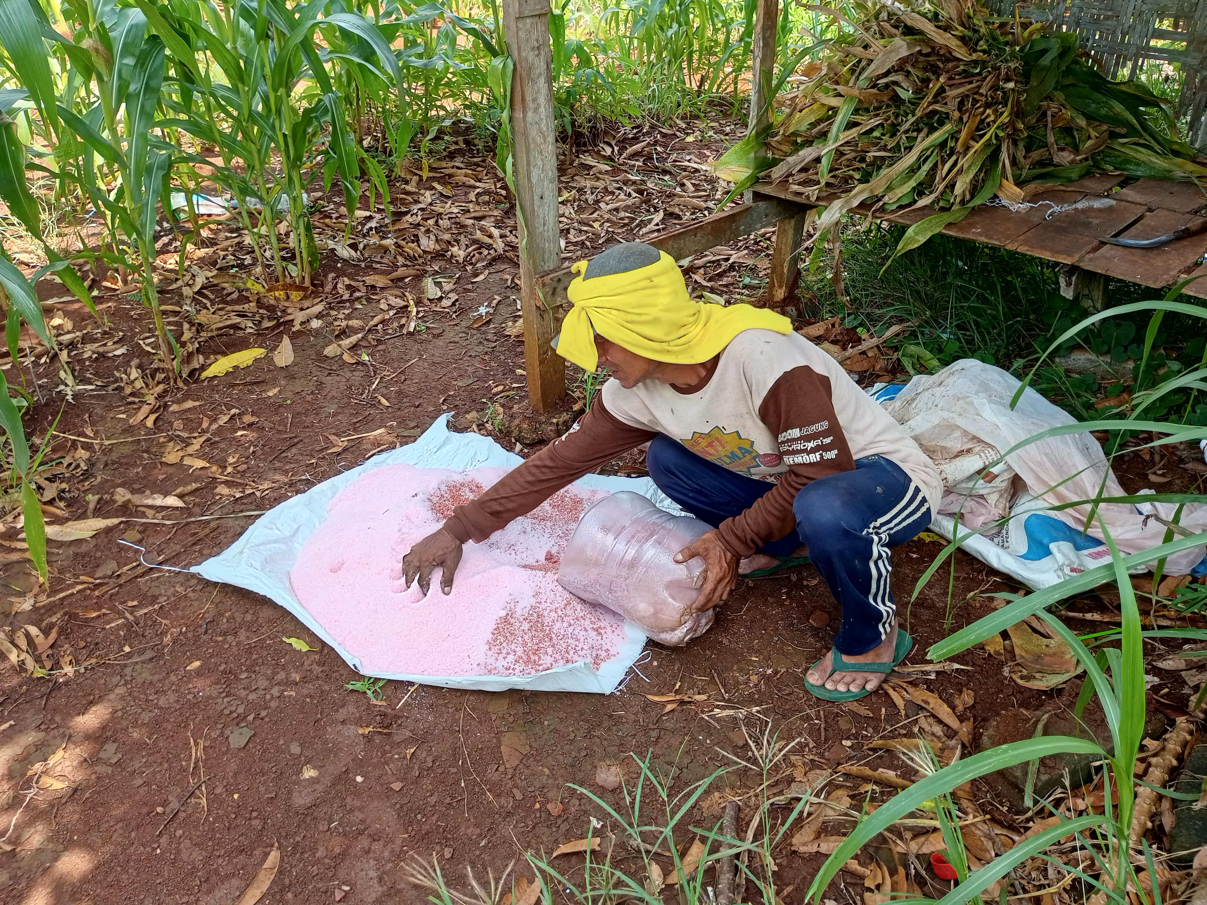 Petani asal Kalurahan Karangasem, Kapanewon Paliyan Slamet Wijayanto sedang mencampur pupuk urea dengan NPK.  &nbsp;