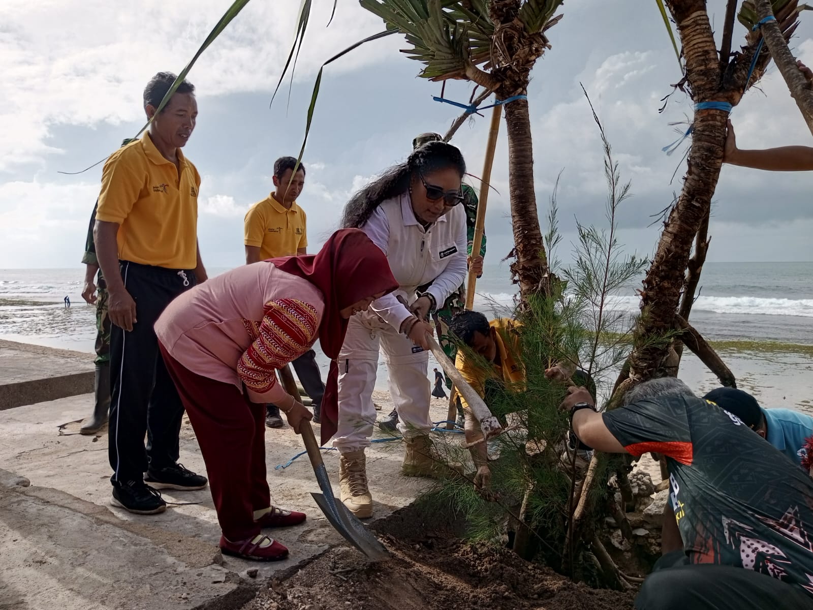 Bupati Endah Subekti Kuntariningsih menanam pandan laut di Pantai Sepanjang pada Kamis (12/2/2026).