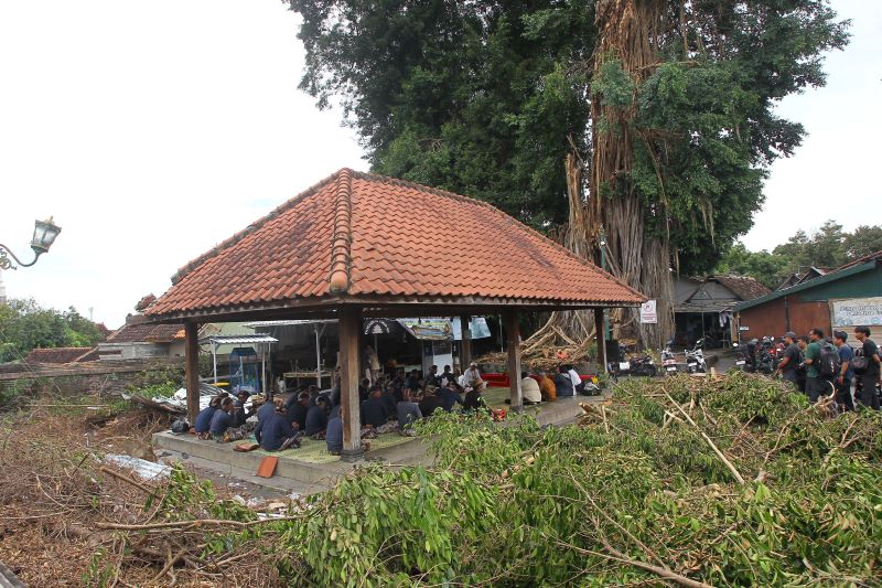 Abdi dalem Keraton Jogja menggelar prosesi Sugengan atau upacara selamatan sebelum memulai rangkaian renovasi bangunan dan pemangkasan pohon beringin di kompleks Makam Raja-Raja Mataram, Kotagede