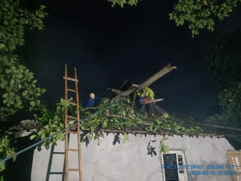 EVAKUASI: Petugas BPBD Sleman saat menangani pohon tumbang akibat hujan deras disertai angin.
