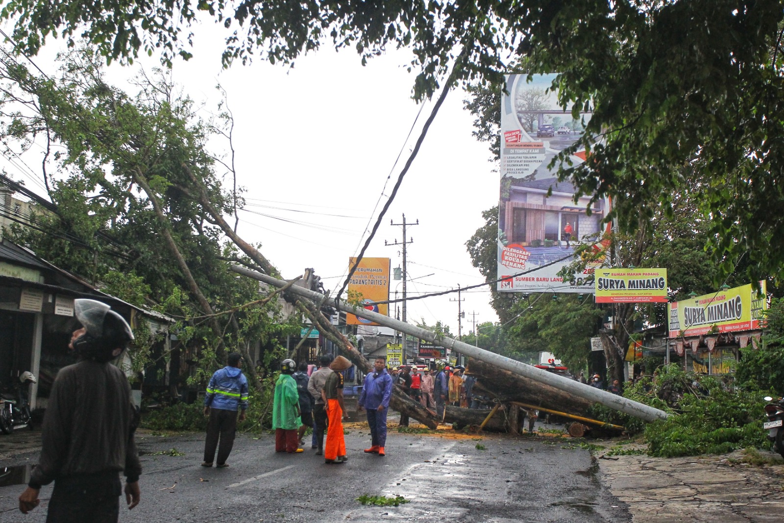 Cuaca ekstrem membuat pohon dan tiang listrik tumbang di Jalan Parangtritis KM 7, selatan Kampus ISI Jogja, Rabu (18/2/2026).