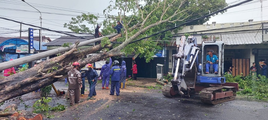 TUMBANG: Pohon tumbang yang mengenai ruko dan menutup akses jalan di Jalan Parangtritis Rabu (18/2/2026).
