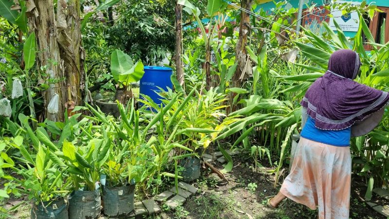 Kegiatan berkebun warga di Kampung Selokraman, Purbayan, Kotagede. 