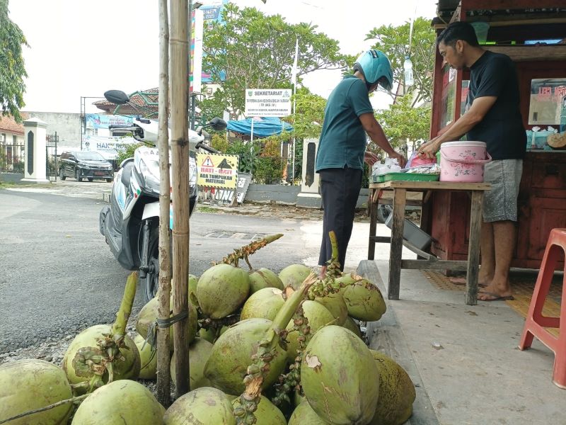 Penjual kelapa muda di Jalan Kolonel Sugiono, Kebumen menunjukkan degan wulung yang ramai diminati masyarakat untuk pilihan menu berbuka puasa. 