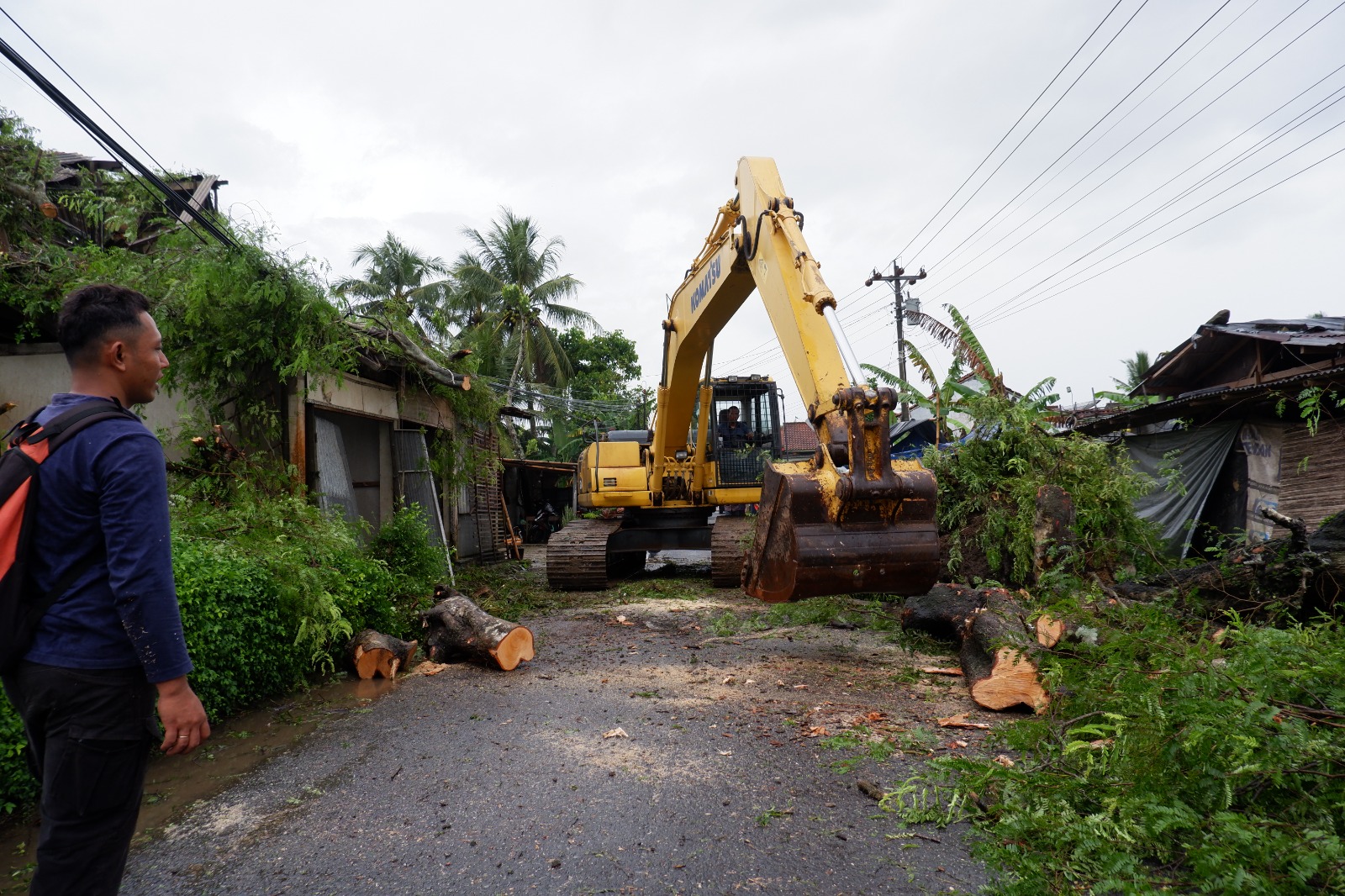 Alat berat dikerahkan untuk pembersihan pohon tumbag yang melintang di Jalan Dorowati-Podourip. (Dokumentasi BPBD Kebumen)