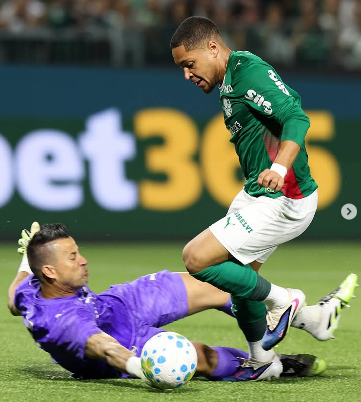 Palmeiras.