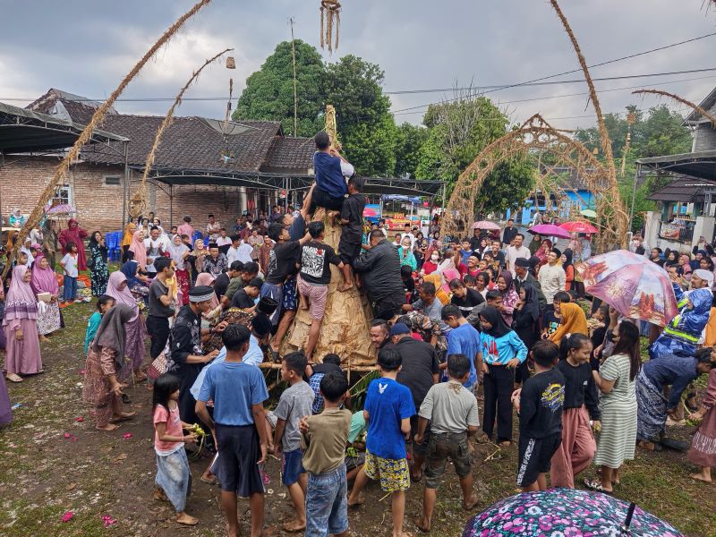 MERIAH: Warga Dawung berebut kupat yang berisi uang di lapangan dusun Rabu (25/3).