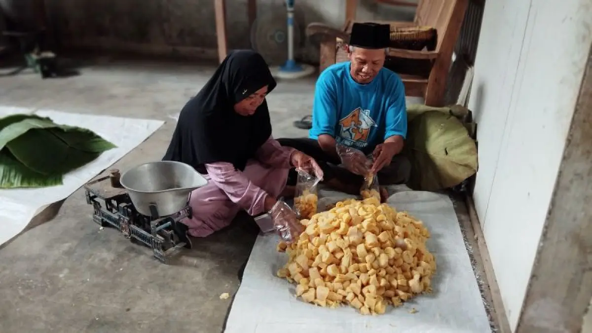 Samsudin dan Tukul sedang mengemas tape singkong yang akan dijual ke beberapa pasar Selasa (31/3). (Cintia&nbsp;Yuliani/Radar Jogja)