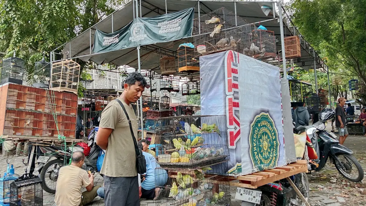 Pasar Burung Tlogorejo di Banyuraden, Gamping dan Pasar Klitikan Godean, Sleman. Delima Purnamasari/Radar Jogja
