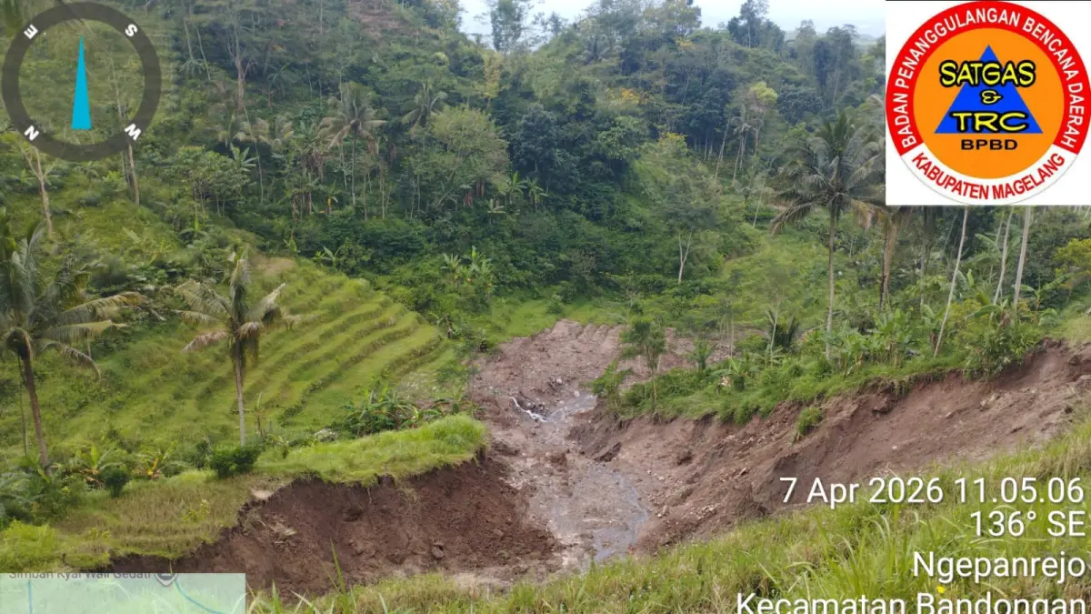 Longsor di Dusun Citran, Ngepanrejo, Bandongan membuat area persawahan terdampak dan terancam gagal panen.