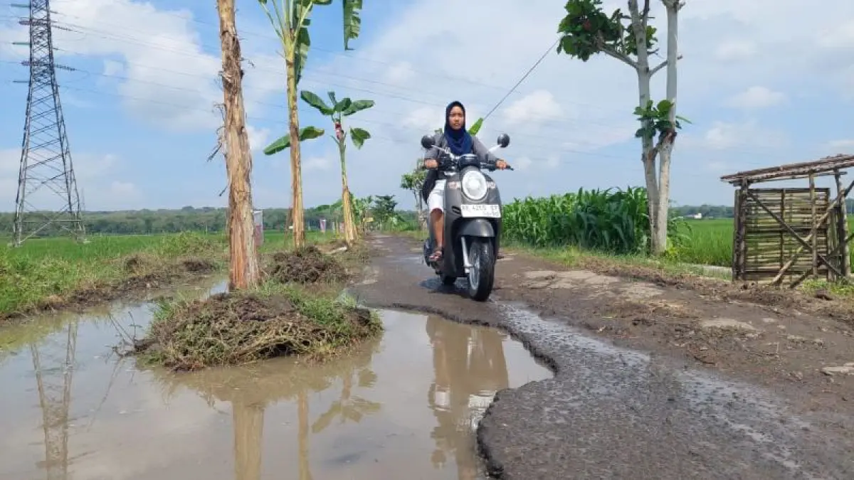MLIPIR: Warga Srikayangan melakukan aksi protes jalan rusak dengan menanam pohon di tahun 2025 lalu. (ANOM BAGASKORO/RADAR JOGJA)