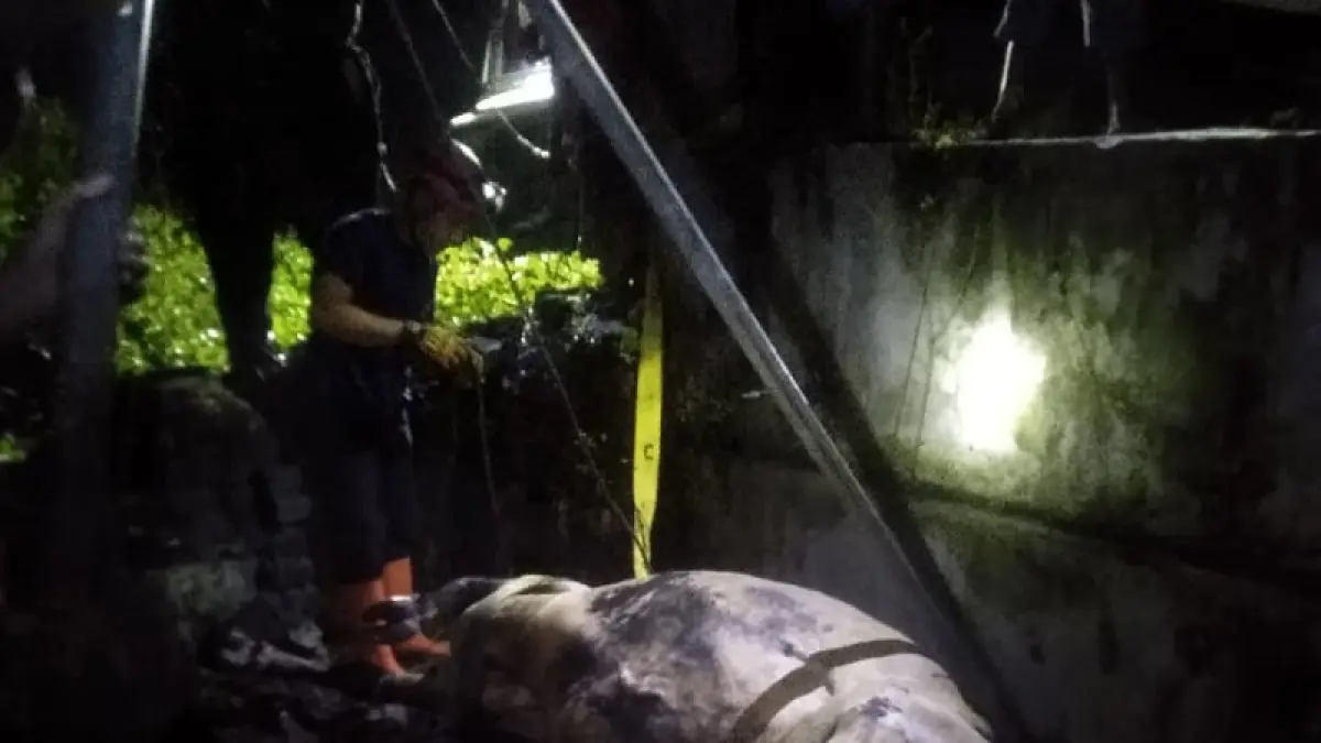 Dokumentasi/Damkarmat Gunungkidul: Person Damkarmat Gunungkidul sedang melakukan evakuasi pemadam kebakaran yang menimpa kandang sapi milik warga Nglipar.