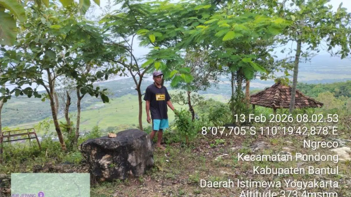 DIRUSAK MONYET: Lahan di Ngreco, Seloharjo, Pundong yang sudah tidak bisa ditanami tanaman pertanian dan beralih ke tanaman kayu.&nbsp;(Dokumentasi Gapoktan Seloharjo)