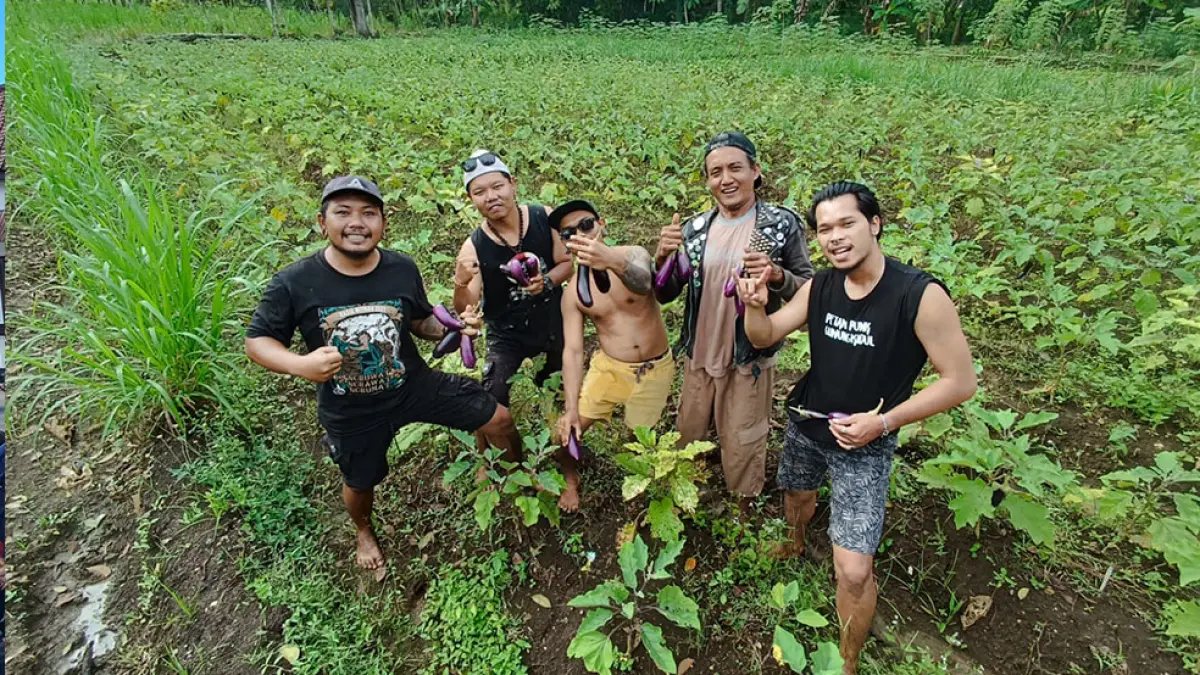 TOP: Para petani punk Gunungkidul saat menggarap lahan pertaniannya. Dok. Komunitas Petani Punk Gunungkidul&nbsp;
