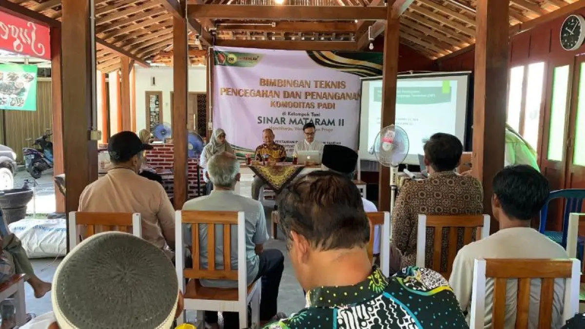 SOSIALISASI: Petani di Lendah mendapat materi penanganan hama tikus. (ANOM BAGASKORO/RADAR JOGJA)