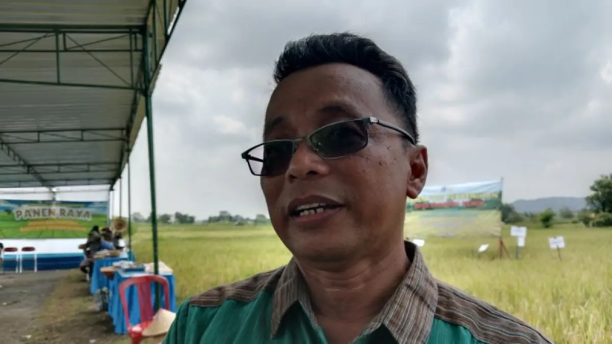 Plt Kepala DP3 Sleman Rofiq Andriyanto. (Delima&nbsp;Purnamasari/Radar Jogja)