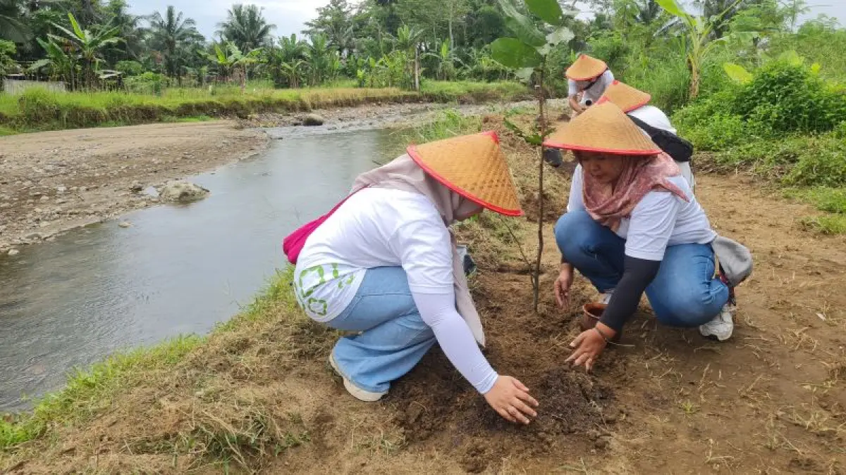 AKSI KONSERVASI: PT TWB bersama unsur terkait menanam bibit pohon gayam di bantaran sungai Desa Karangrejo, Rabu (22/4). (NAILA NIHAYAH/RADAR JOGJA)