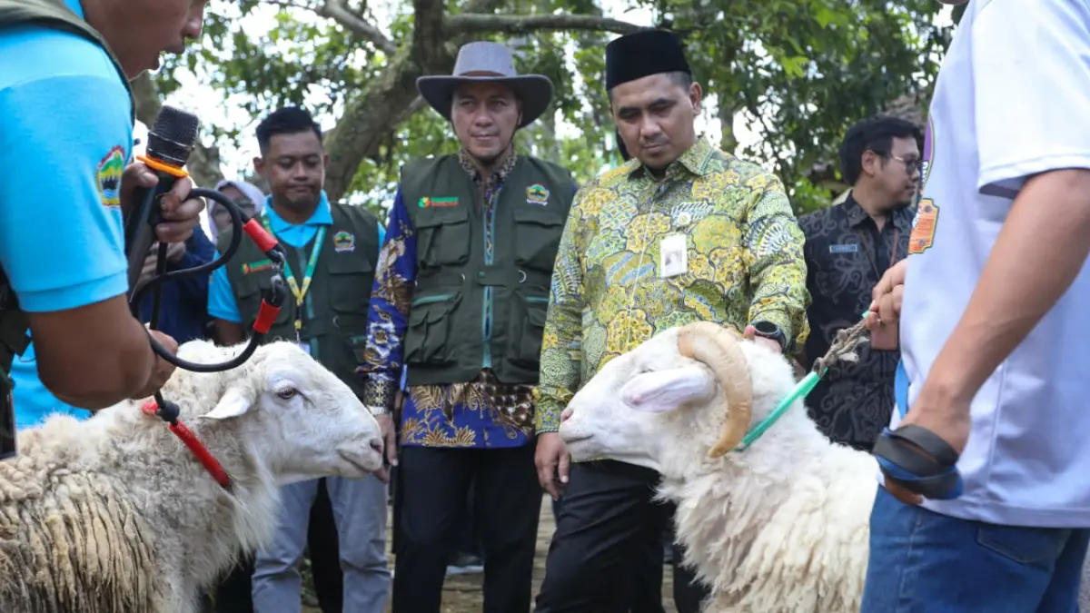 PADI akan dimasukan dalam agenda wisata Jateng