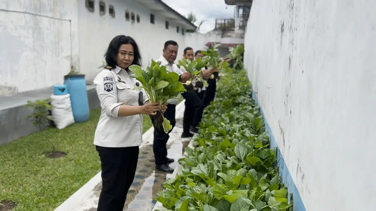 POSITIF: Proses panen sayuran dan ikan hasil program ketahanan pangan warga binaan di Lapas Kelas II B Sleman. Dokumentasi Lapas Kelas IIB Sleman