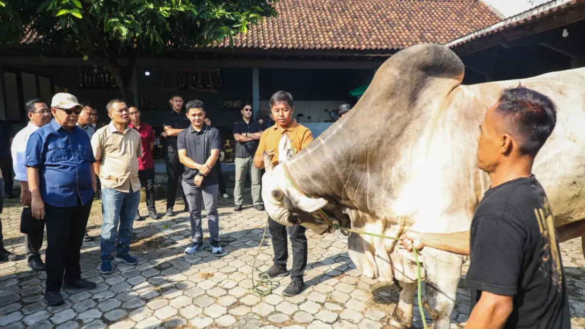 Gubernur Jawa Tengah Ahmad Luthfi saat meninjau peternakan sapi di Purworejo, Jawa Tengah