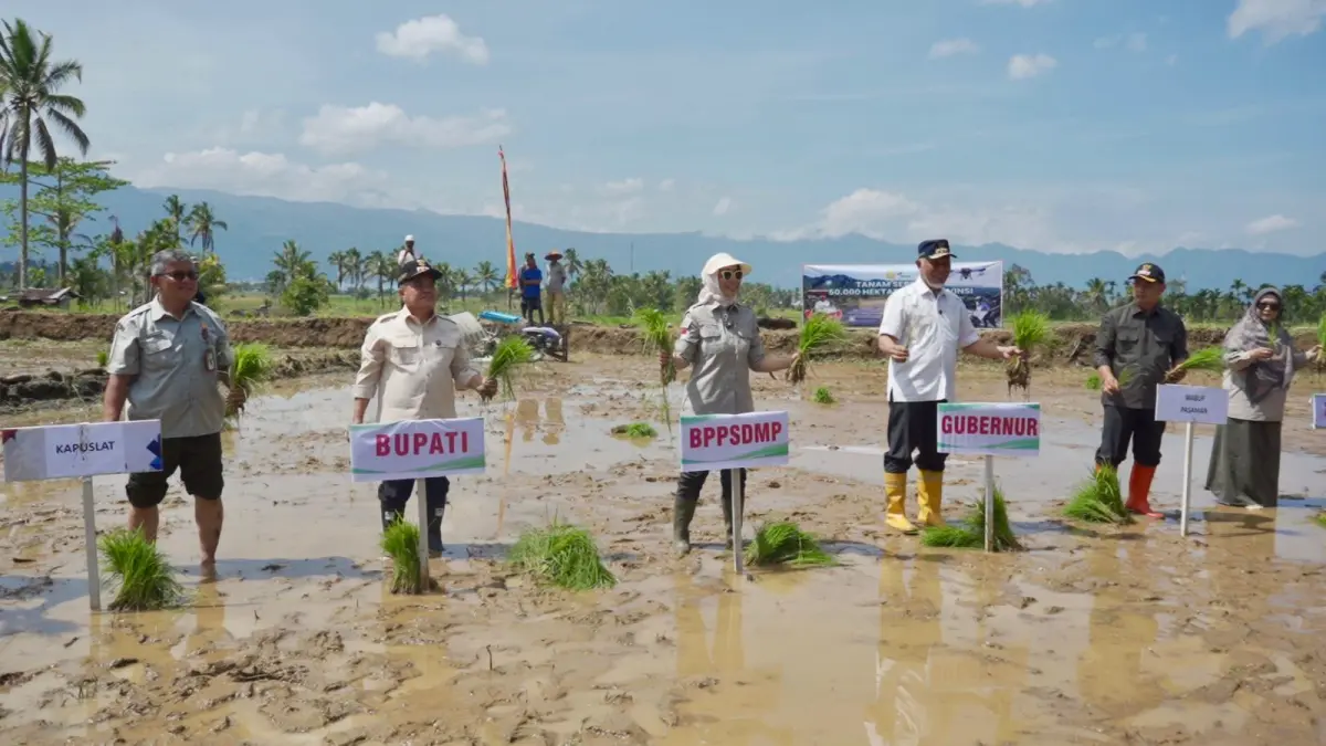 SIMBOLIS: Proses penanaman padi yang diinisiasi oleh Kementerian Pertanian (Kementan) secara serentak di 25 provinsi. (DOKUMENTASI KEMENTAN)