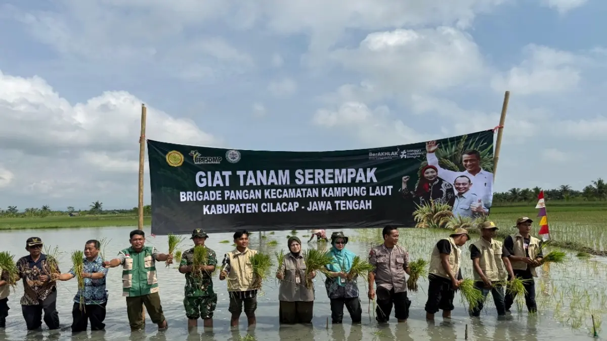 HIJAUKAN SAWAH: Bridge Pangan Cilacap melakukan tanam serempak padi pada Kamis (30/4/226) dalam rangka mendukung program ketahanan pangan dan meningkatkan produksi nasional.(ISTIMEWA)