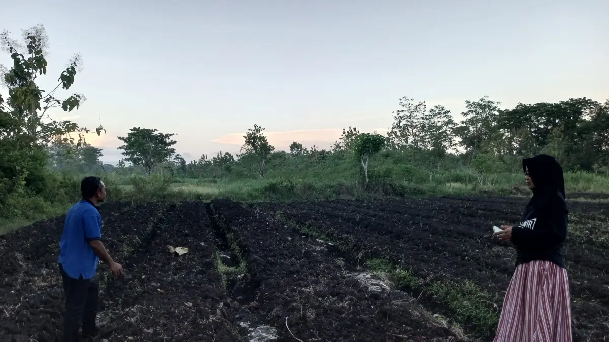 Bakal Ada Dapur SPPG di sekitar Ngunut, KWT Krenen Berharap Jadi Pemasok Sayuran