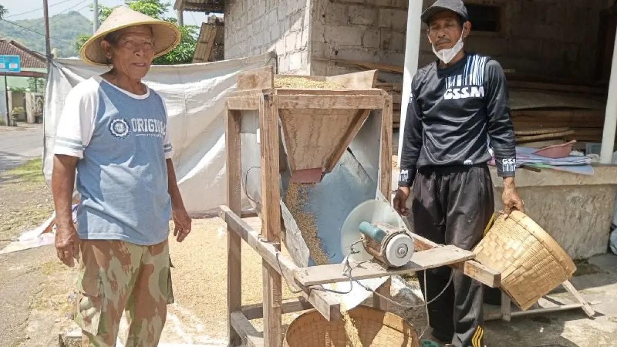 Alat pemisah gabah buatan warga Hargomulyo, Sudjoko, berhasil mengefisienkan waktu kerja petani saat pemisahan antara gabah berisi dengan gabah yang kopong. (Yusuf Bastiar/Radar Jogja)