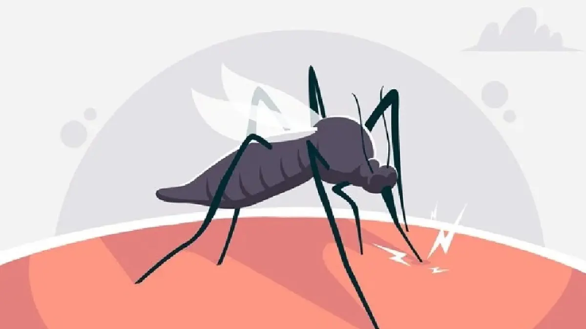Ilustrasi nyamuk malaria.