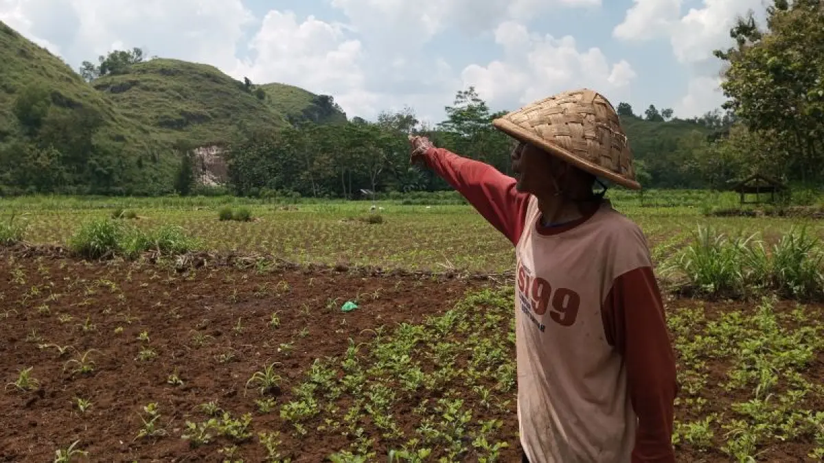 LIBUR TANAM: Petani di Kapanewon Ponjong sedang menunjukkan area pertanian yang tak bisa ditanami selama musim kemarau berlangsung akibat kekeringan. (Yusuf Bastiar/Radar Jogja)