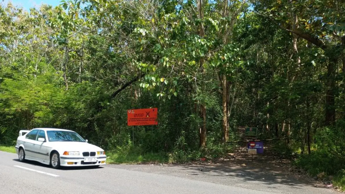 LOKASI RAWAN: Pengendara sedang melintas di kawasan Hutan Suaka Margasatwa Paliyan. (Yusuf Bastiar/Radar Jogja)

&nbsp;