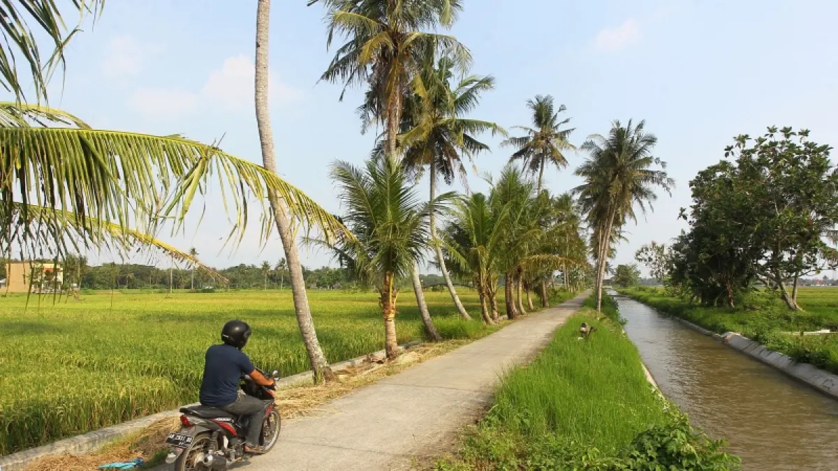 Warga melintas di salah satu jalan penghubung antar dusun di Desa Sumberagung, Kapanewon Moyudan, Sleman, Kamis  (14/5/2026). (Guntur Aga/Radar Jogja)

