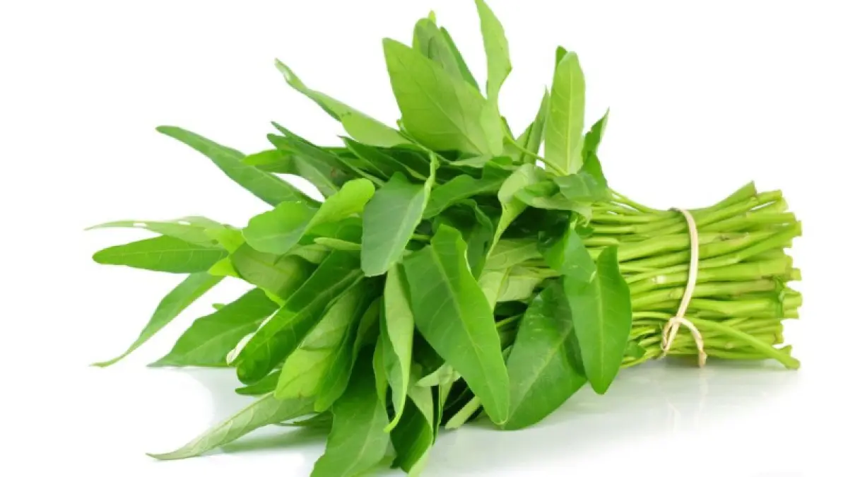 Kangkung segar. (Lazada)