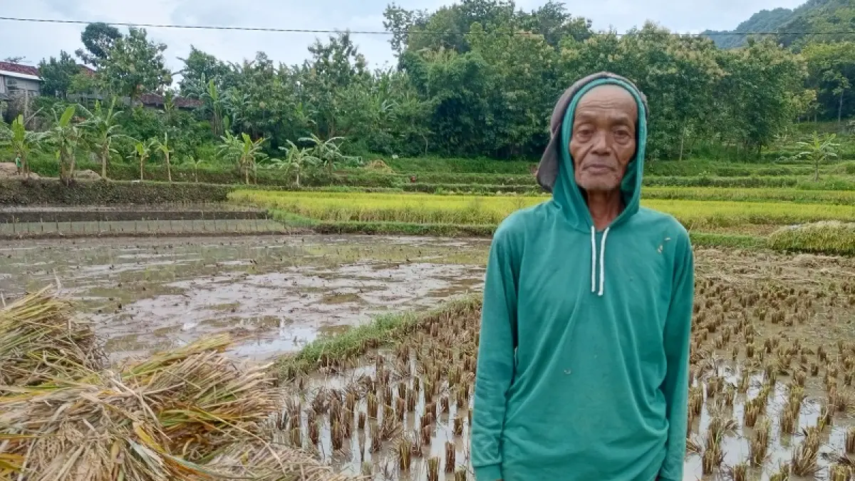 DPRD Gunungkidul merancang Raperda perlindungan dan pemberdayaan petani sebagai upaya kepastian hukum untuk petani-petani Bumi Handayani. (Yusuf Bastiar/Radar Jogja)