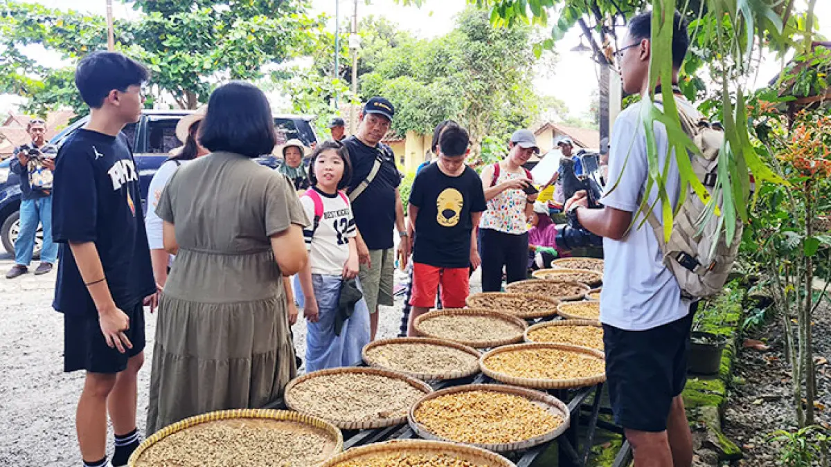 WISATA EDUKASI: Pawon Luwak Coffee terletak di Dusun Brojonalan, Wanurejo, Borobudur tidak hanya menawarkan sajian kopi, tapi juga edukasi pengolahan kopi. (NAILA NIHAYAH/RADAR JOGJA)