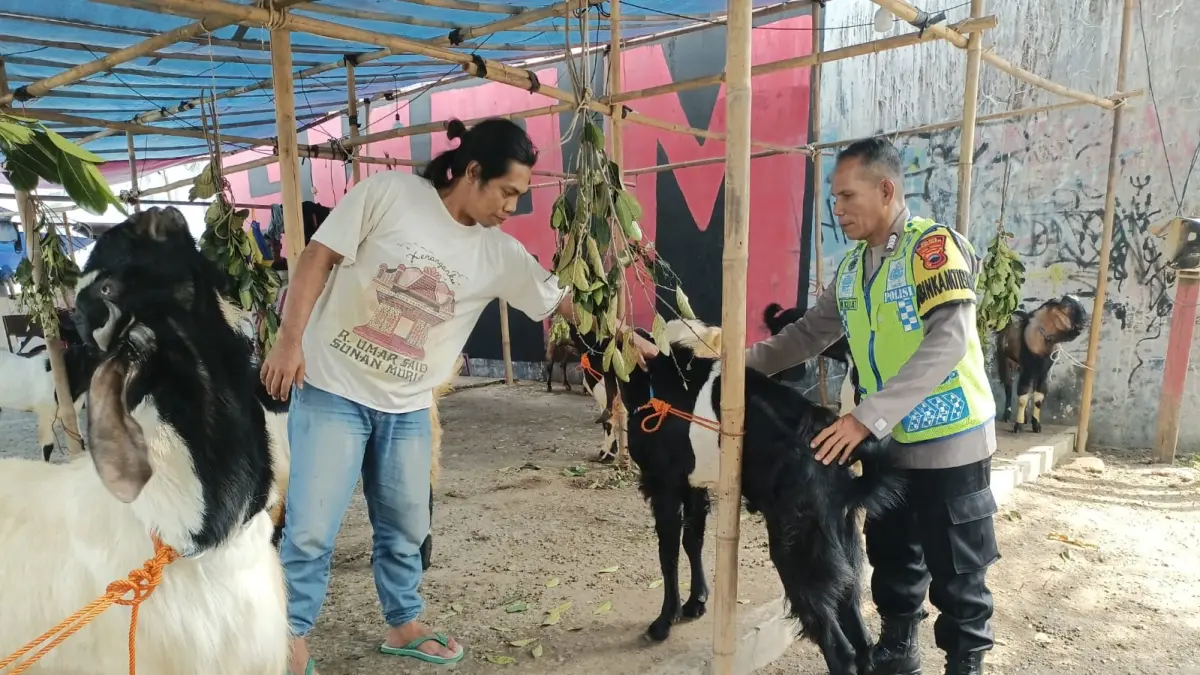 Lapak hewan kurban mulai bermunculan di seputaran kota Kebumen. Seperti terlihat di seberang Jalan Kaswari, Kebumen berdiri tenda yang menampung belasan hewan kurban. (M Hafied/Radar Jogja)