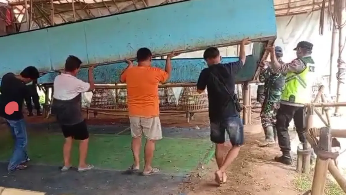 Proses pembongkaran arena judi sabung ayam di Desa Candirenggo, Kecamatan Ayah. (Dokumentasi Polres Kebumen)
