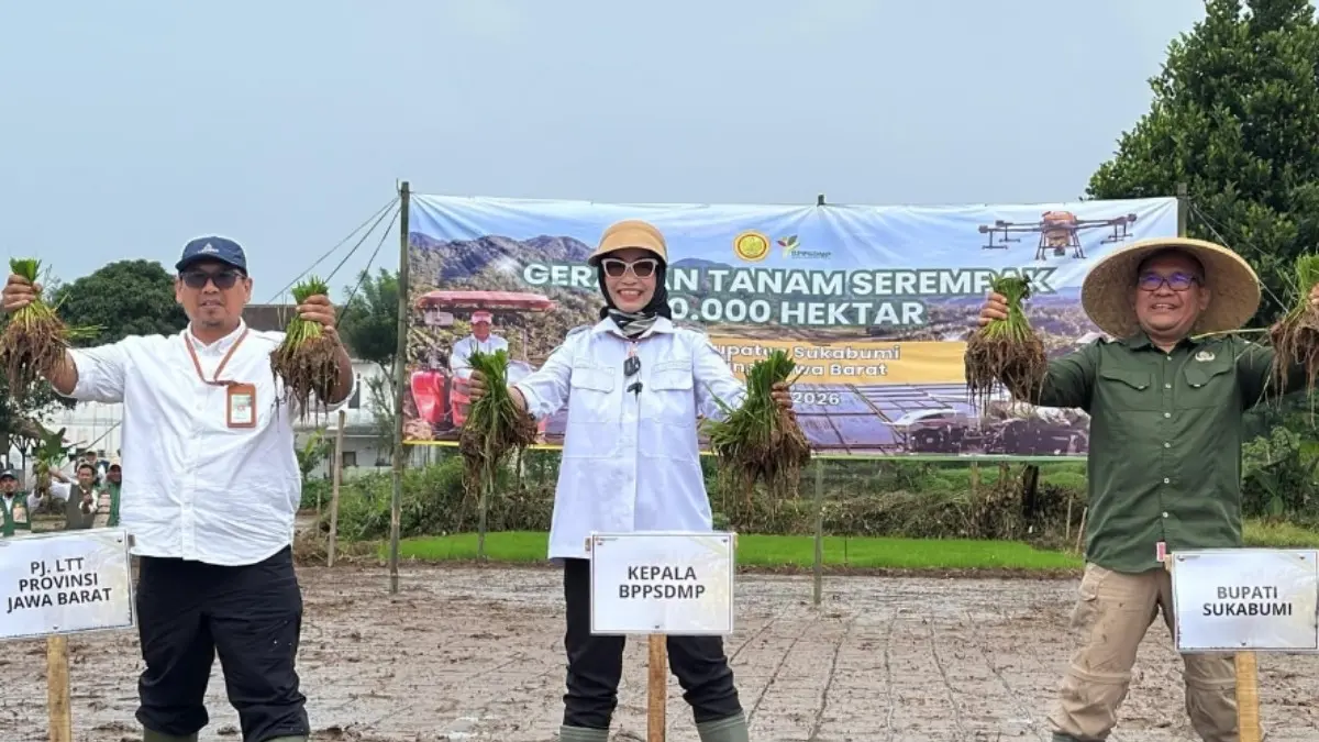 OPLAH: Kepala BPPSDMP Kementan Idha Widi Arsanti (tengah) mengikuti kegiatan tanam serempak di  Desa Bojonglegok, Kecamatan Parakansalak, Kabupaten Sukabumi, Provinsi Jawa Barat, Jumat (22/5/2026). (ISTIMEWA)