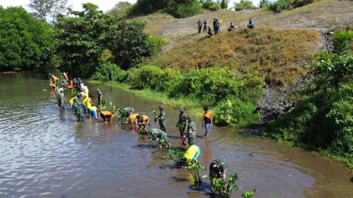 Aksi penanaman pohon mangrove di Pantai Lembupurwo, Kecamatan Mirit, Senin (25/5. Langkah ini sebagai upaya mengatasi abrasi pantai yang semakin mengkhawatirkan. (Dokumentasi Kodim 0709/Kebumen)