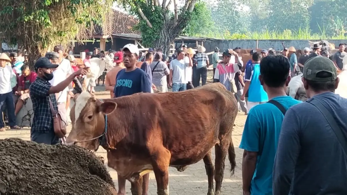 Pasar wagenan di Pasar Hewan Siyonoharjo pada Jumat lalu (22/5). (Yusuf Bastiar/Radar Jogja)
