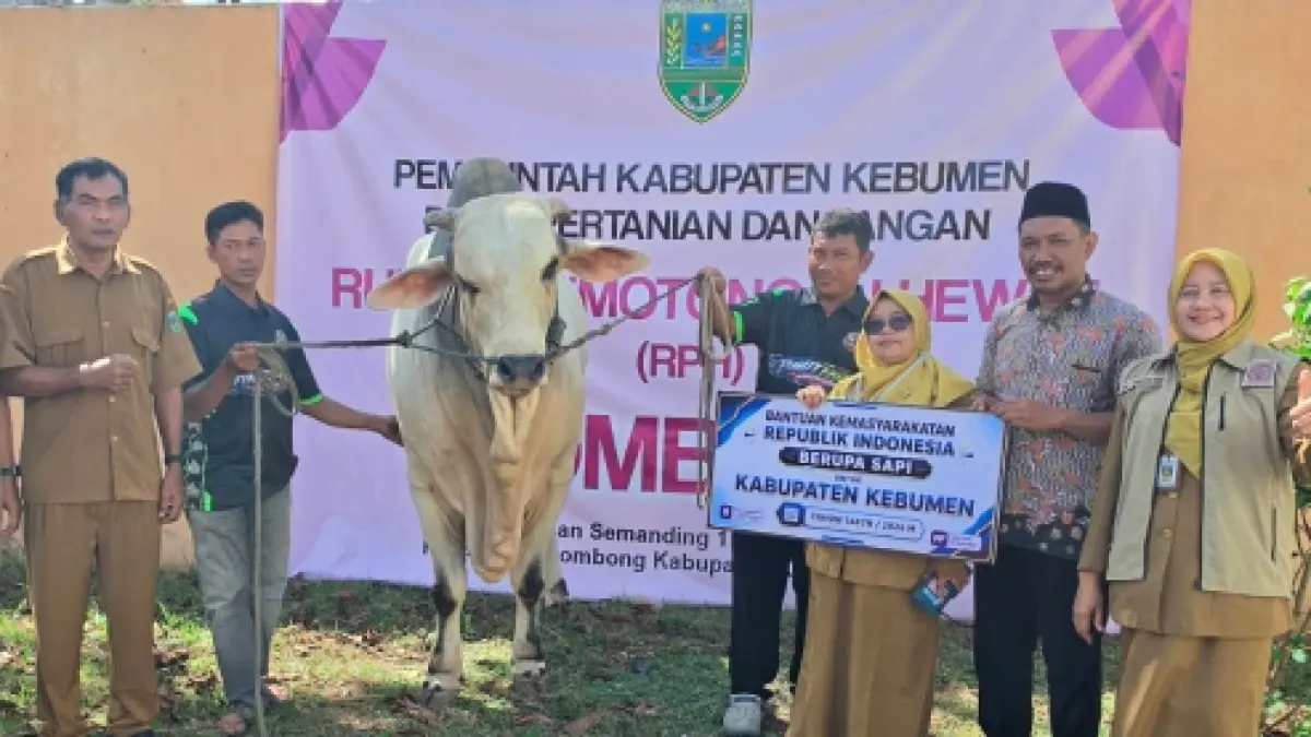 Penyerahan sapi jenis Peranakan Ongole (PO) bantuan Presiden Prabowo Subianto untuk diserahkan kepada masyarakat Desa Tunjungseto, Kecamatan Sempor. (Dokumentasi Distapang Kebumen)