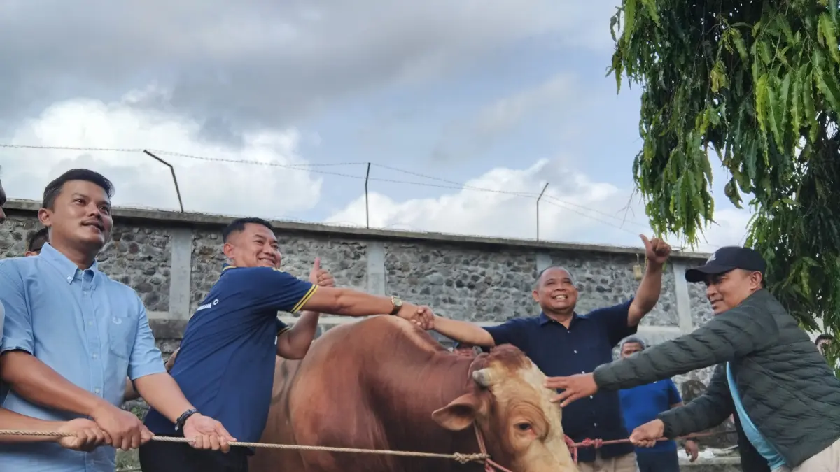 Bupati Sleman Harda Kiswaya saat menerima sapi lemosin dari PSSI dan berfoto bersama dengan Ketua Asprov PSSI DIJ Dessy Arfianto serta Asisten Pelatih Timnas U20 Tommy Haryanto Prasetyo&nbsp;
