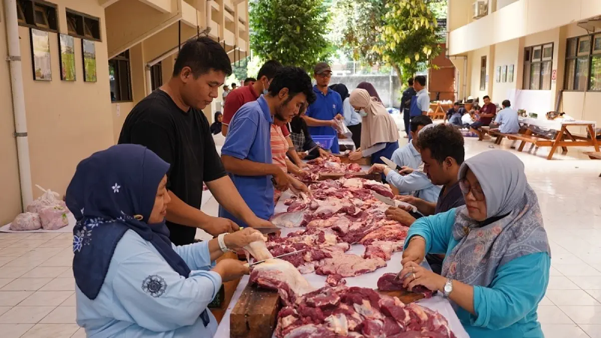 Civitas Fapet UGM saat melakukan monitoring dan membantu proses penyembelihan hewan kurban. Dokumen Fapet UGM 