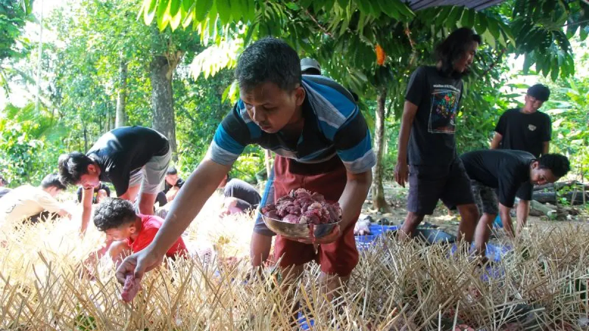 RAMAH LINGKUNGAN: Warga Ngaran, Margokaton, Seyegan mengemas daging kurban dengan kreneng bambu yang dilapisi dun jati Rabu (27/5).&nbsp;(Guntur Aga Tirtana/Radar Jogja)