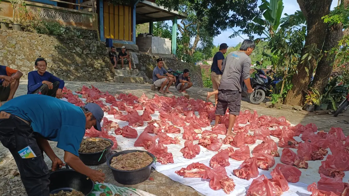 Warga Tepus sedang menata daging kurban di pelataran Masjid Al Iman - Yusuf Bastiar/Radar Jogja