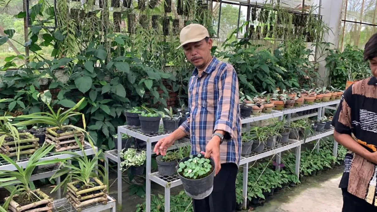 ANOM BAGASKORO/RADAR JOGJA
CEK: Aris menjelaskan pengembangan Jogja Agro Park untuk beragam budidaya.
