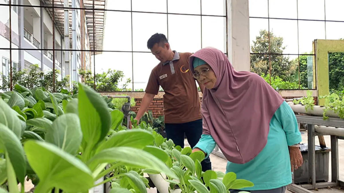 EDUKASI BERCOCOK TANAM: Sejumlah lansia penghuni Balai PSTW DIY memperingati Hari Lanjut Usia Nasional (HLUN) ke-30 dengan mengikuti kegiatan berkebun di Jogja Agro Park Kulon Progo.&nbsp; Dalam acara itu juga diwarnai dengan pertunjukan seni. (Foto: Anom Bagaskoro/Radar Jogja)