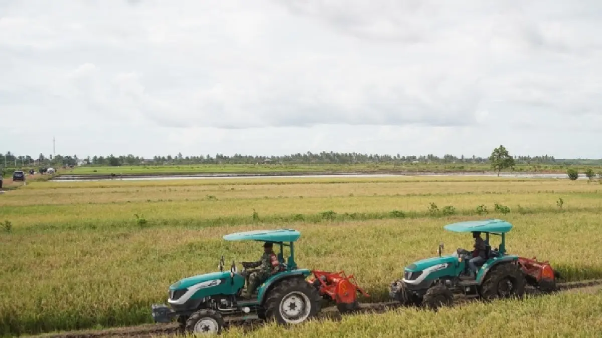 SIAP PANEN: Anggota TNI mengendarai traktor di tengah hamparan sawah demi mendukung program nasional swasembada pangan. (ISTIMEWA)