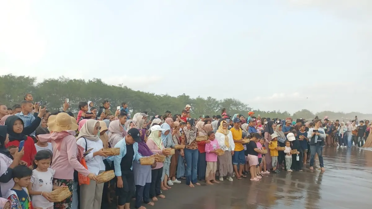 Masyarakat antusias melepasliar tukik atau anakan penyu hasil konservasi di Pantai Kembar Terpadu, kemarin. (M Hafied/Radar Jogja)
